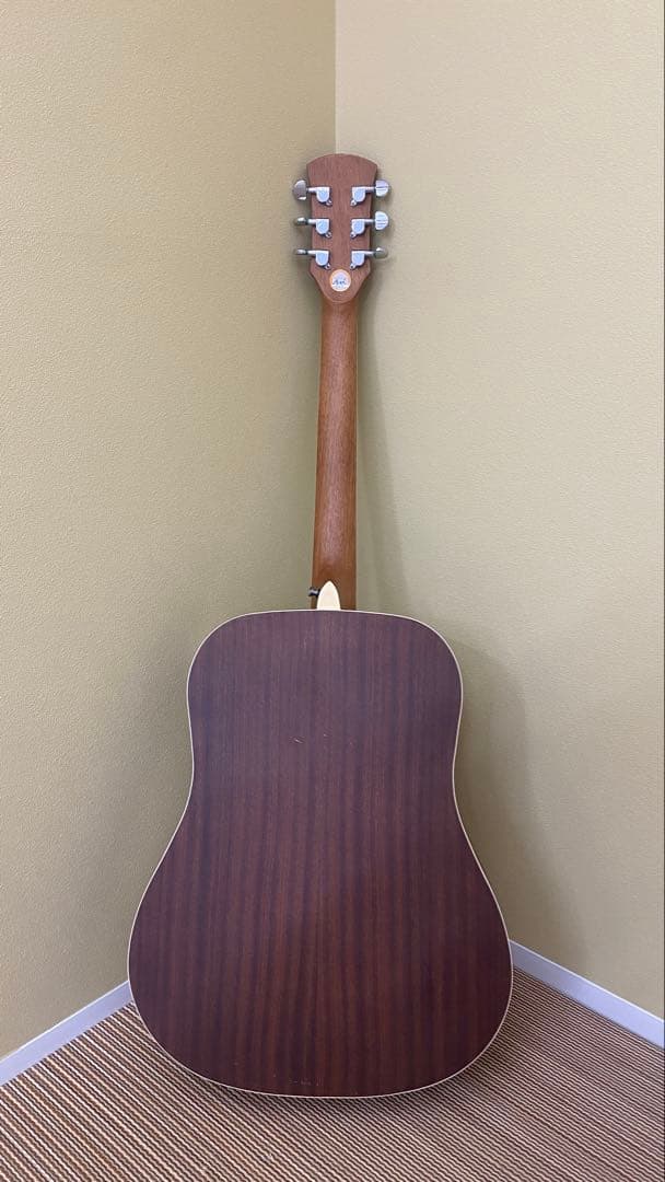 Orangewood T110 NS アコースティックギター