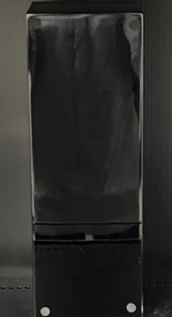 ARMAND アルマンド ゴールド 750ml 12.5％ シャンパン ②