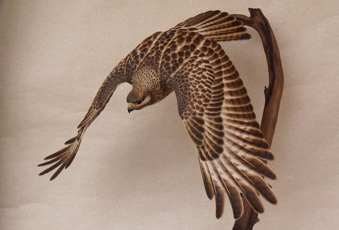 バードカービング ノスリ（リアルサイズ）