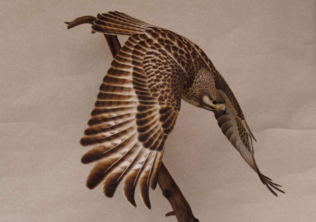 バードカービング ノスリ（リアルサイズ）