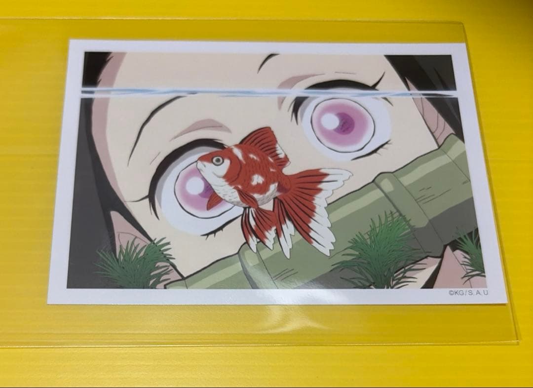 鬼滅の刃　柱合会議・蝶屋敷編　予告場面写　ブロマイド　竈門禰豆子