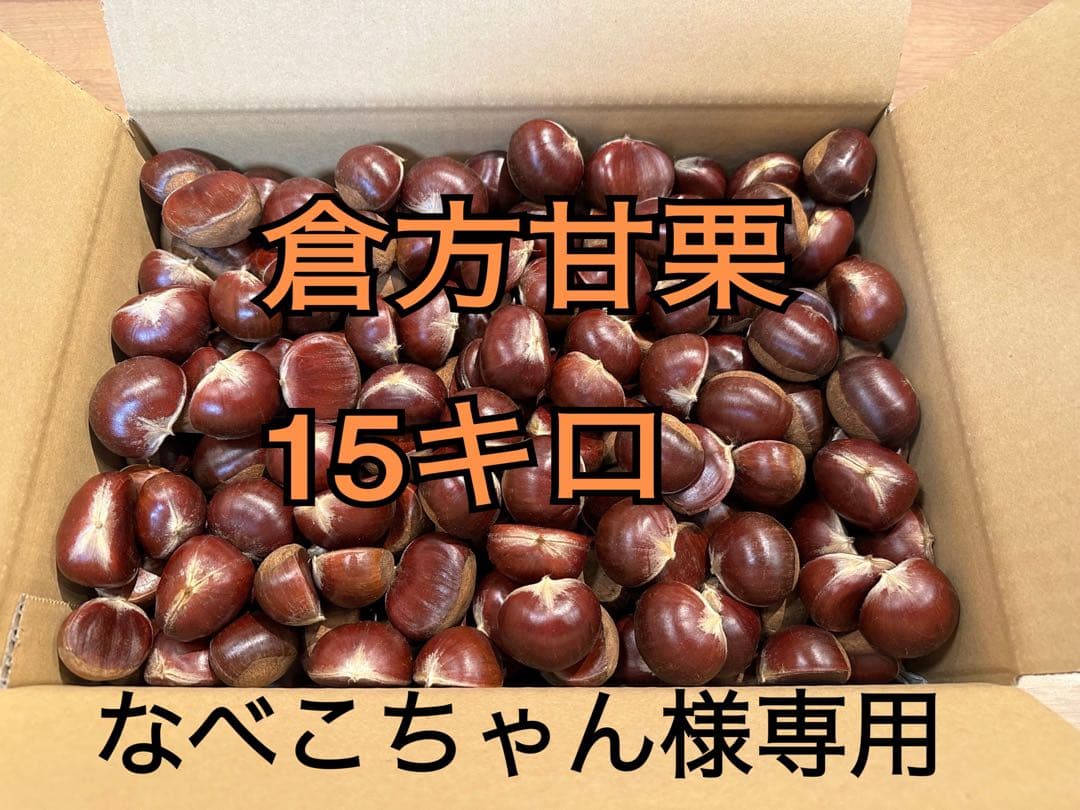 茨城県産　生栗　倉方甘栗　15キロ
