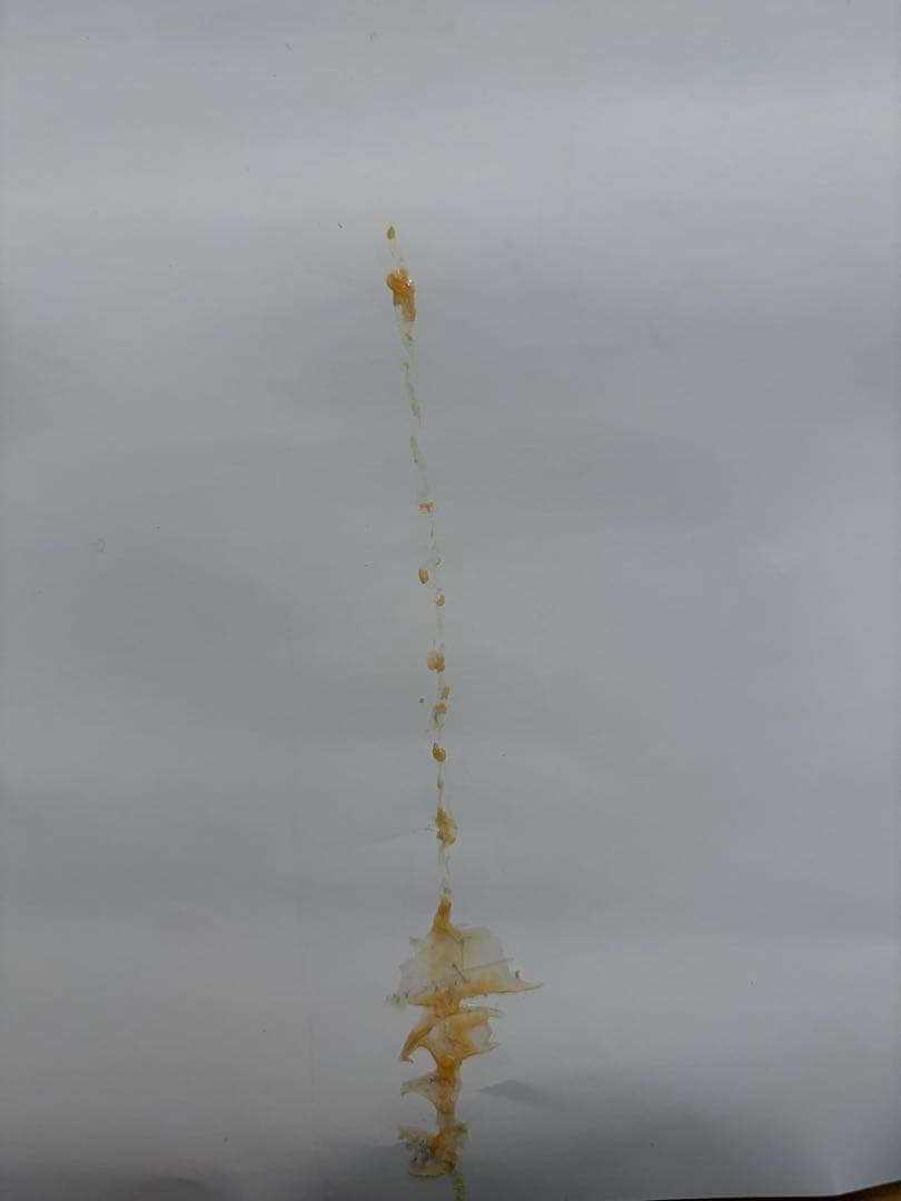 劇場版 ソードアート・オンライン -プログレッシブ-星なき夜のアリア』ポスター