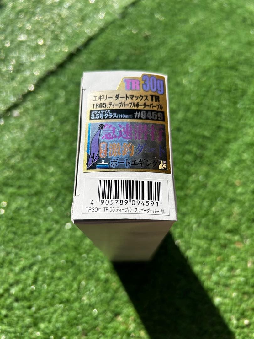 エギリー ダートマックスTR30 TR-05 ディープパープル ボーダーパープル