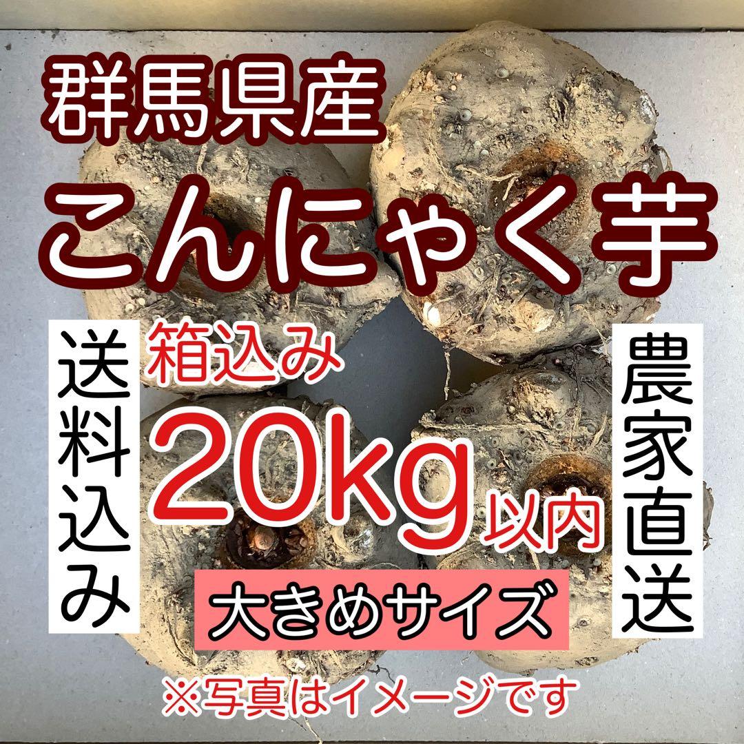 群馬県産こんにゃく芋　箱込み２０キロ以内
