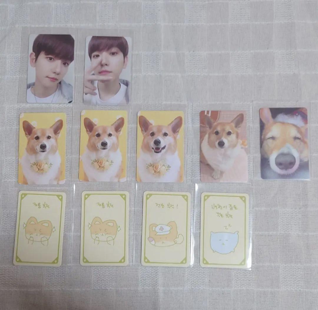 【未開封・おまけ付き】EXO トレギ ベッキョン ぬいぐるみ 80cm