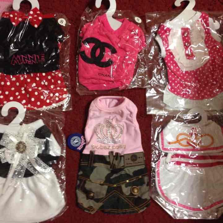 ペット 女の子 お洋服 未使用  レディ 犬