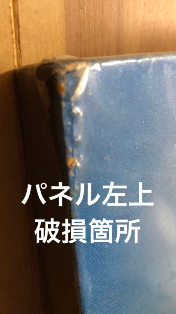 値下げ！景品つき！ついにでた！ハワイの女神アグネス・ラム全身パネル！初出品！