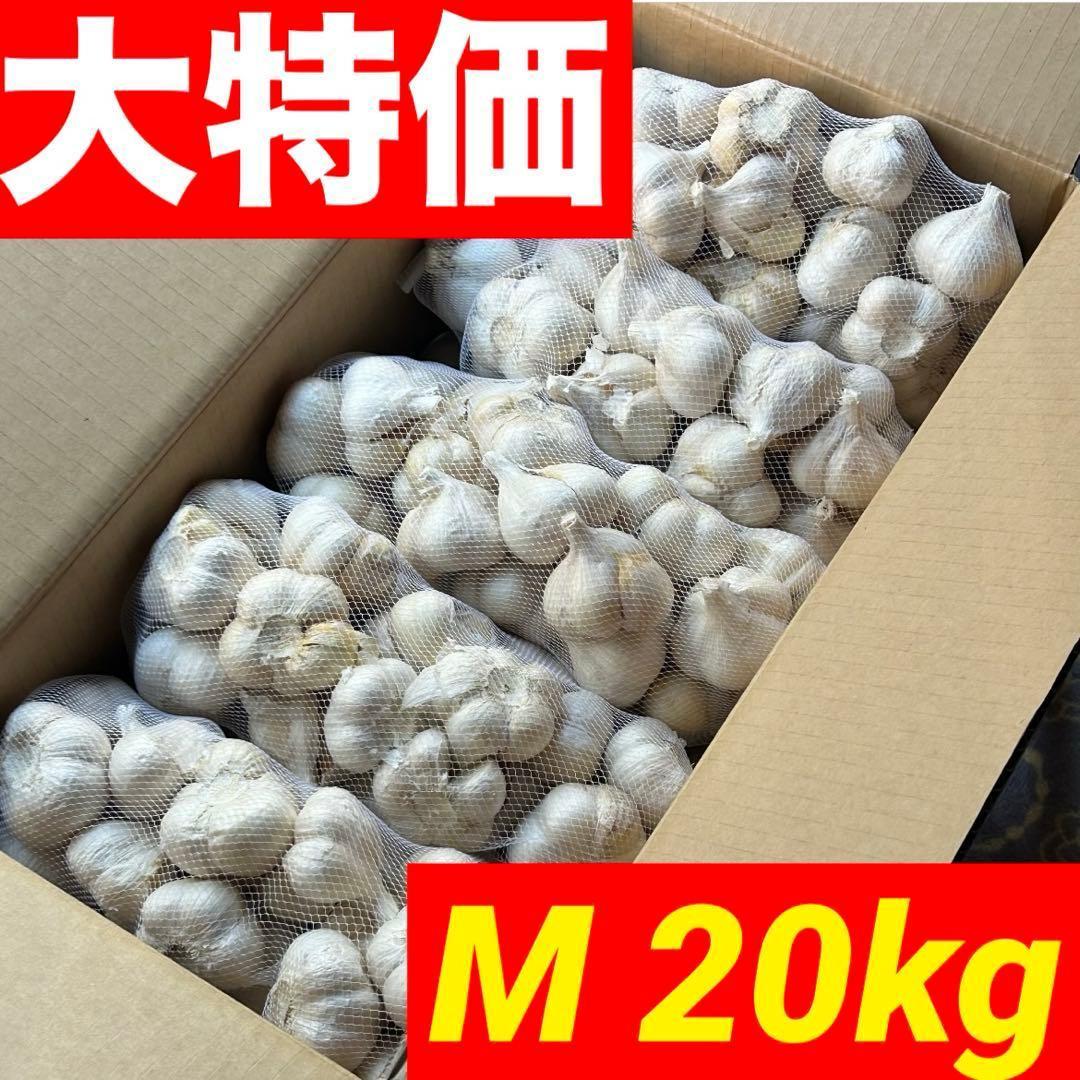 【大特価】青森県 福地ホワイト にんにく M 20kg 種にんにく 家庭用