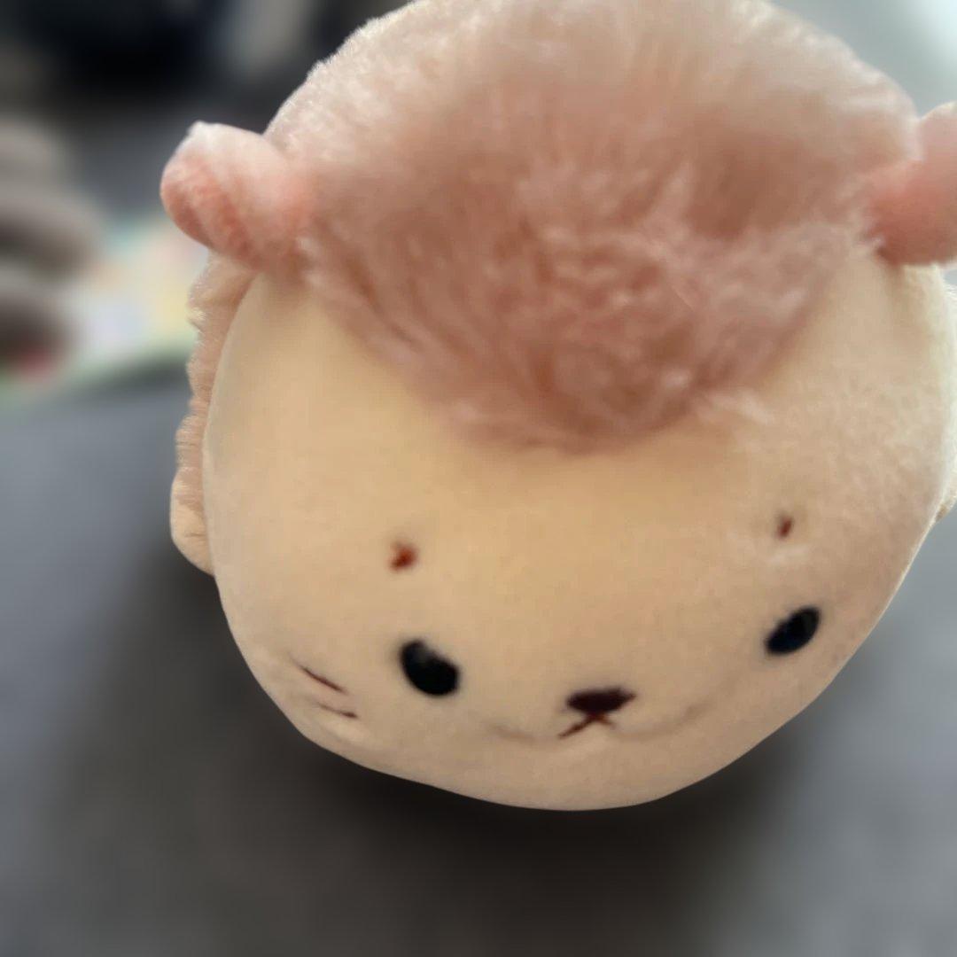 しろたん ぬいぐるみ 18点まとめ売り(新品定価2万円程度)