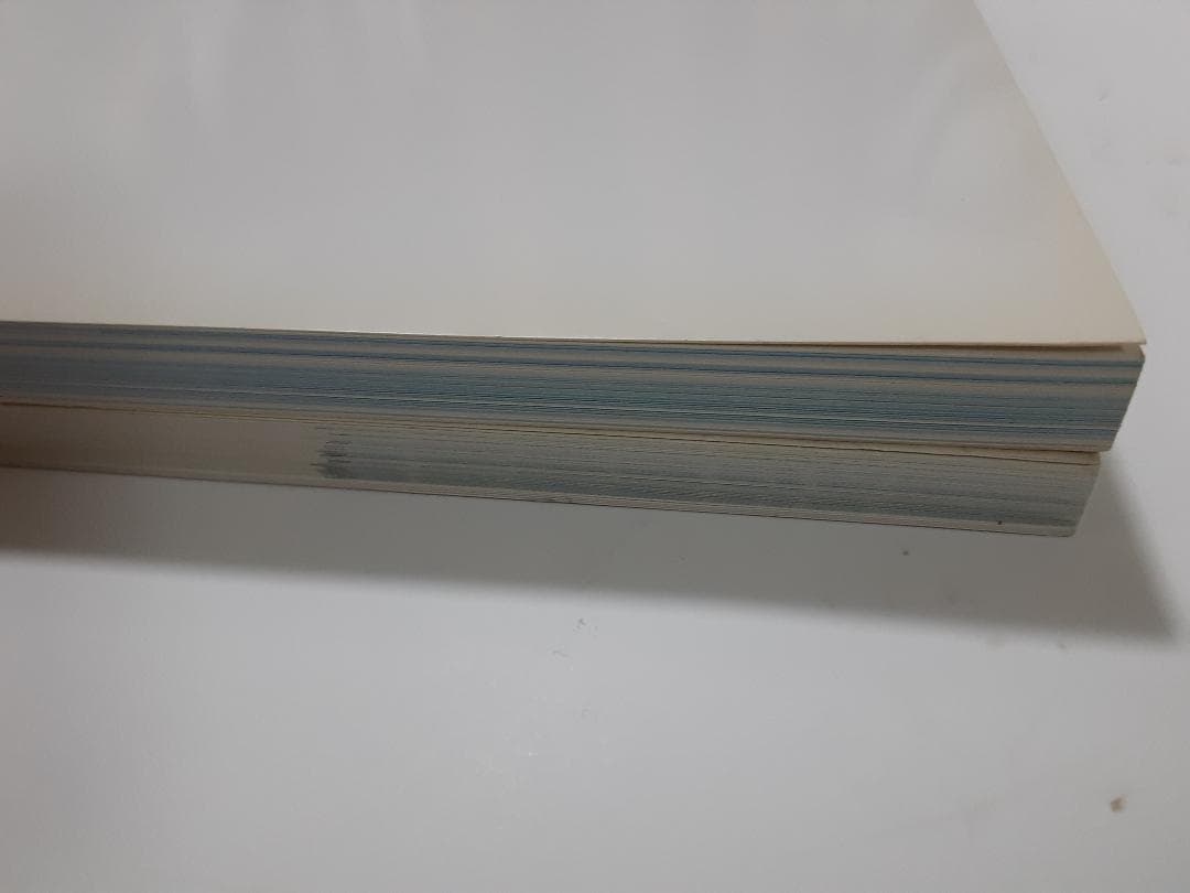 アンバサダーと私　 アンバサダーと私　最終章 　2冊セット