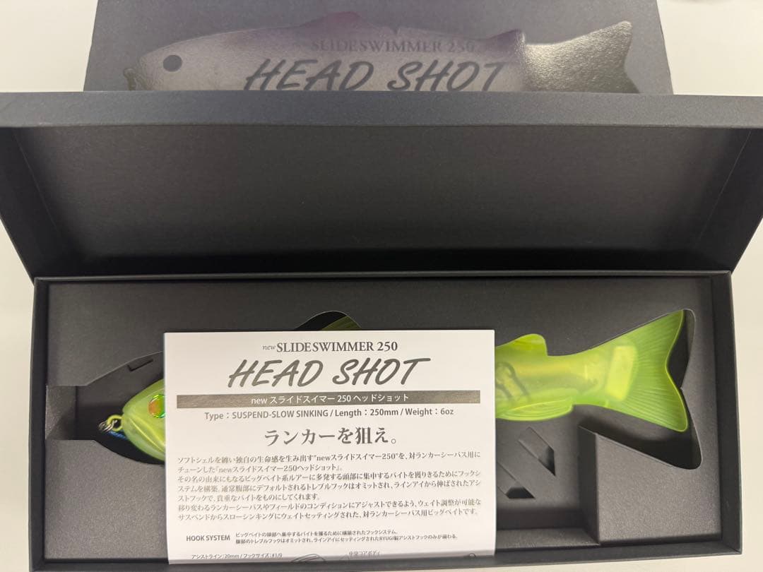 【インフィニ】SLIDE SWIMMER 250 HEAD SHOT