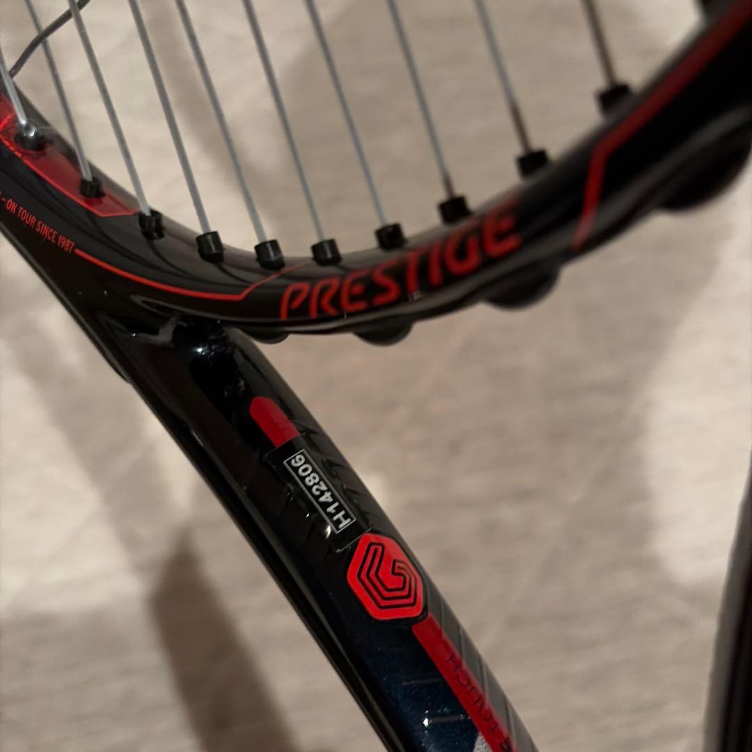 tgt291.2　プロストック