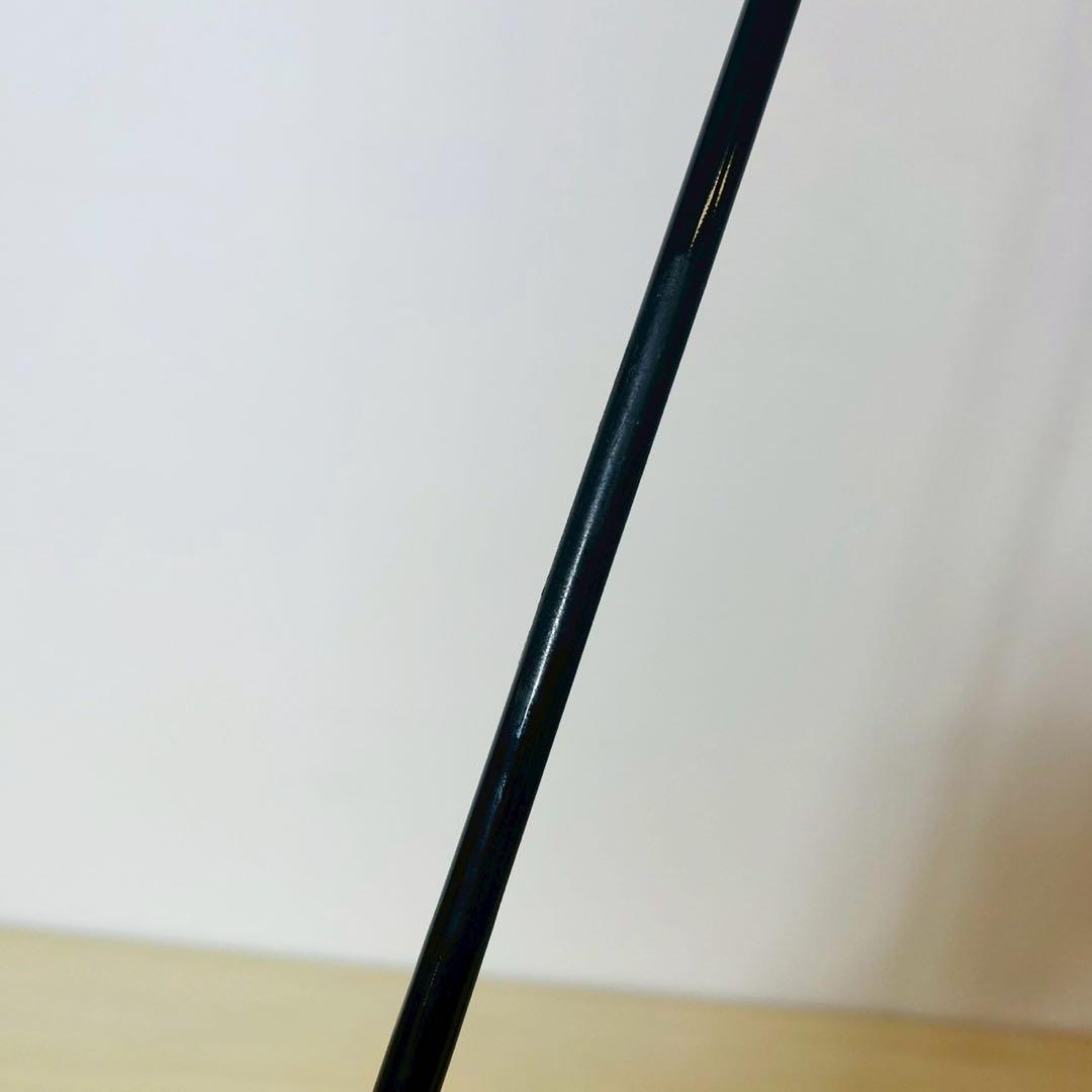 Daiwa ダイワ CarboCast mini 56ML(5) 釣り