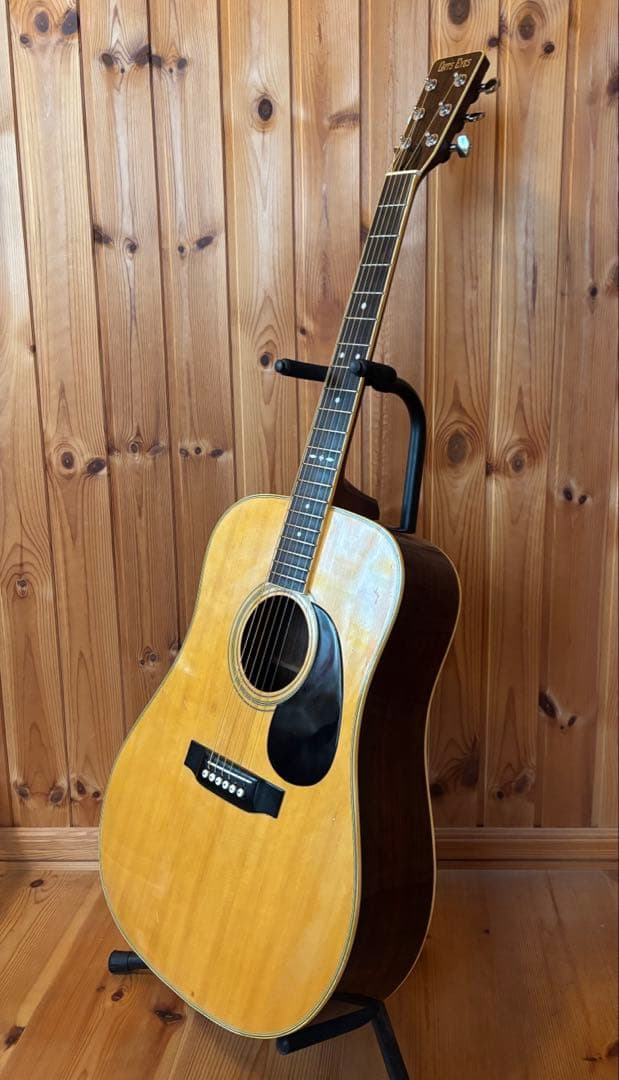 年末特価【大文字ロゴ】　Cat's Eyes CE-250 JV ハードケース