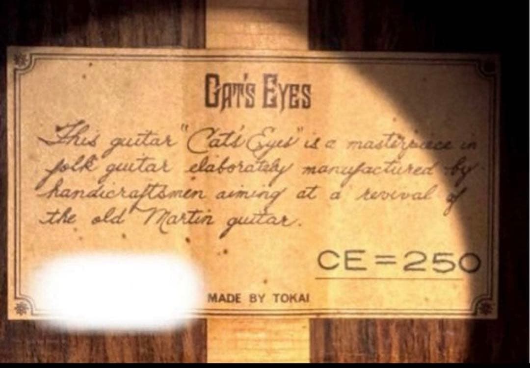 年末特価【大文字ロゴ】　Cat's Eyes CE-250 JV ハードケース