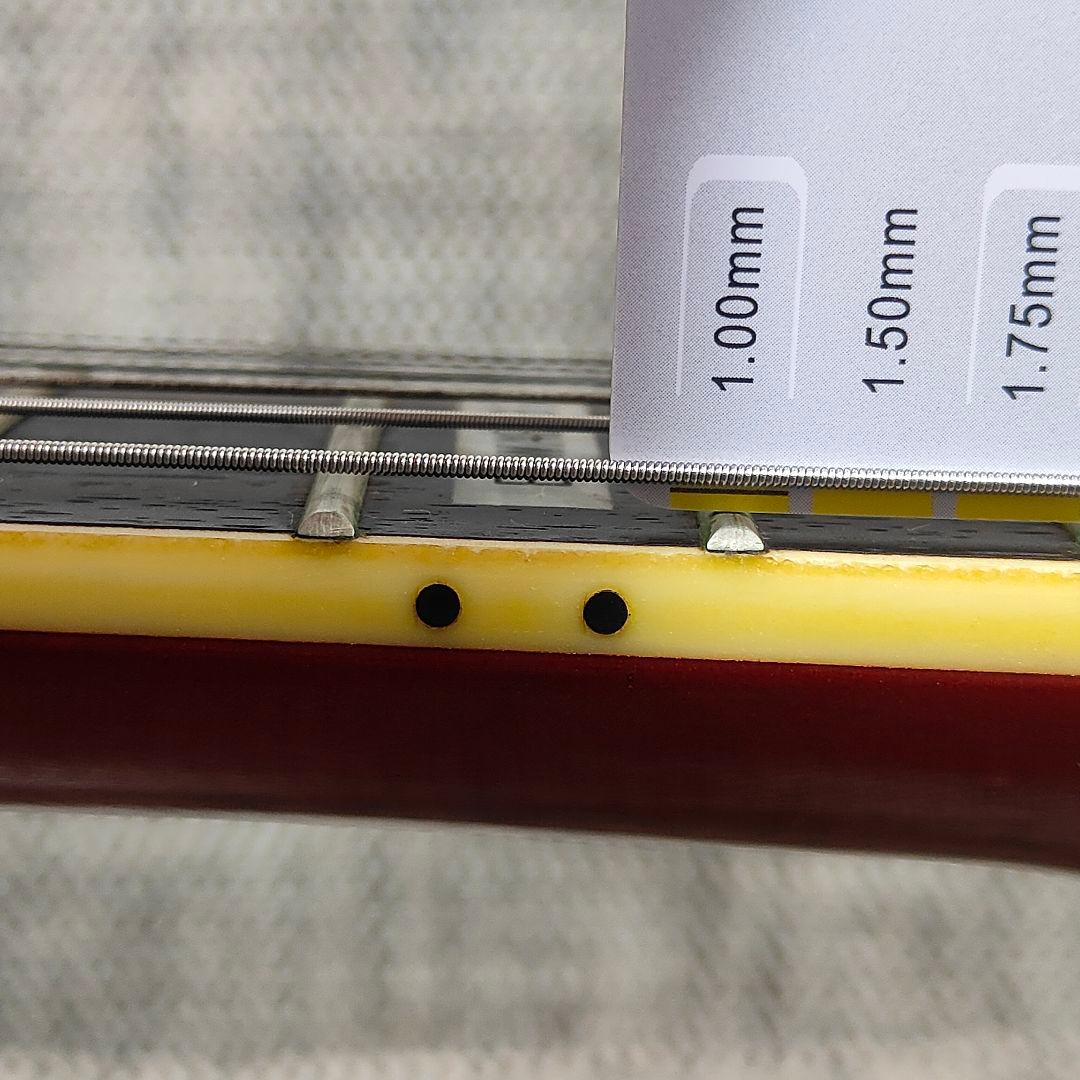 EDWARDS フライングV 千聖 PENICILLIN ペニシリン フロイド