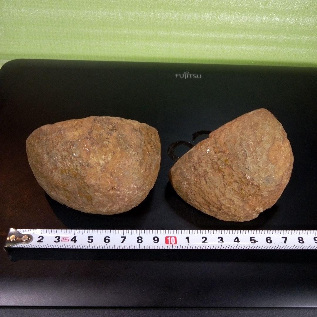 三葉虫　化石　fossil　ボリビア産　trilobite　ノジュール管理①