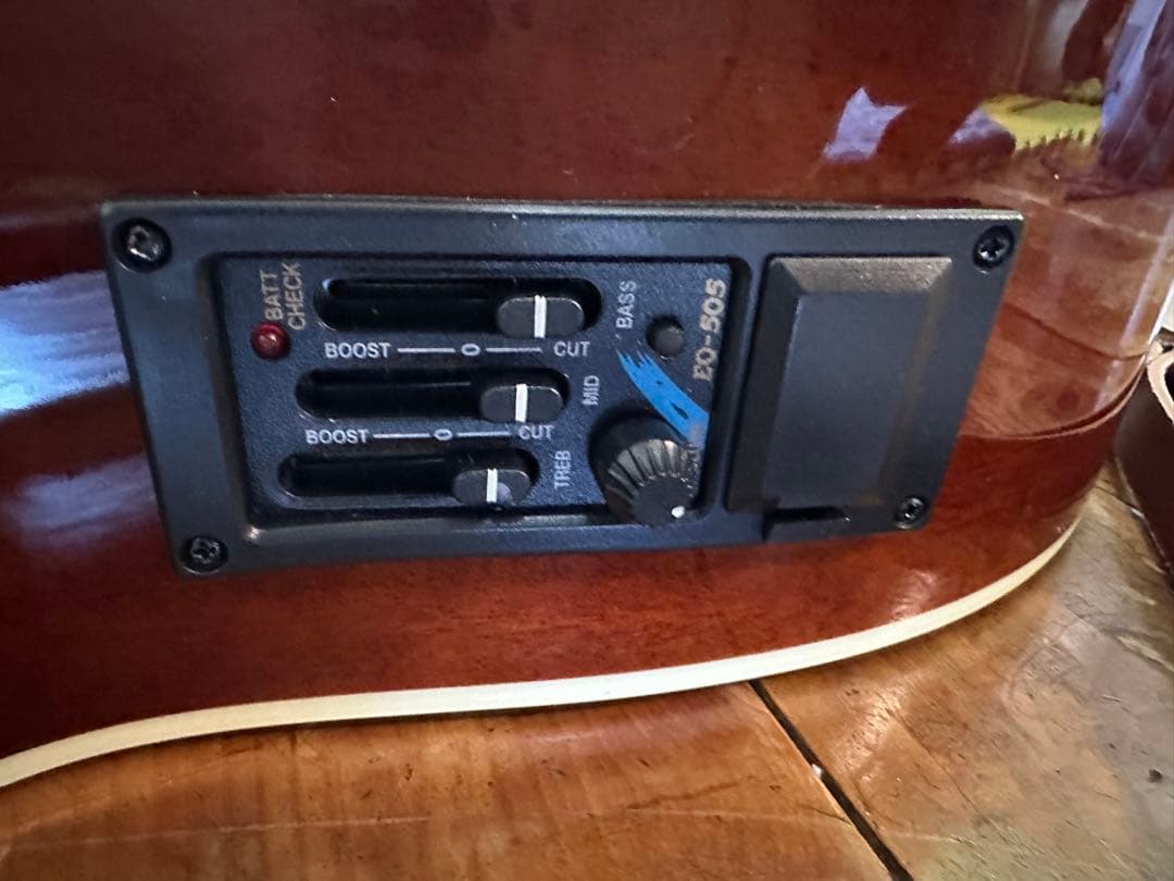 PLAYTECH プレイテック　RG10　エレクトリック・リゾネーターギター