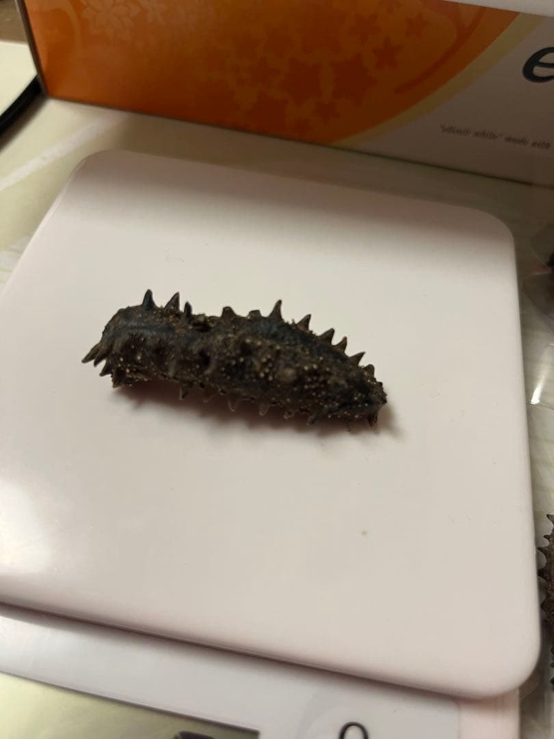 北海道産乾燥ナマコ　訳あり　B級品　混合サイズ　(中〜小)合計261g