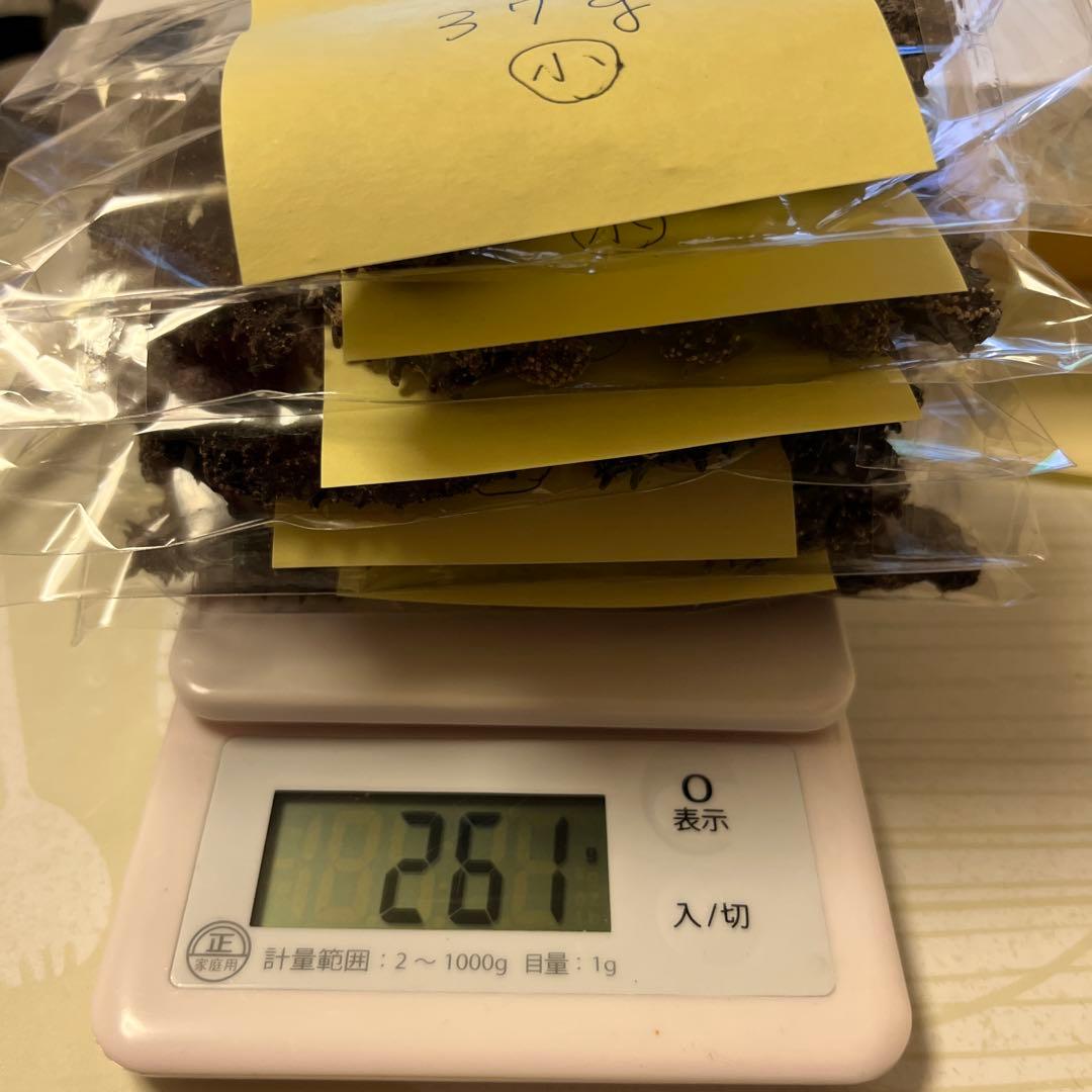 北海道産乾燥ナマコ　訳あり　B級品　混合サイズ　(中〜小)合計261g