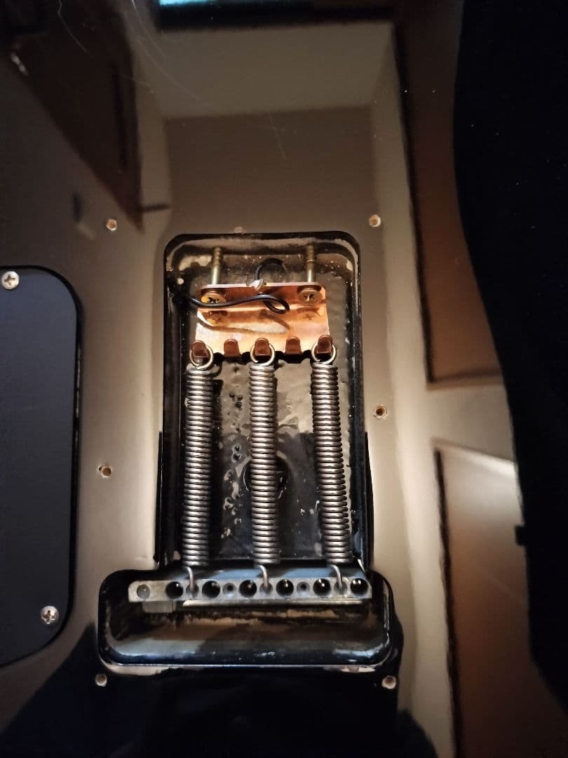 FERNANDES LIMITED EDITION エレキギター ブラック