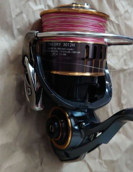 ダイワ(DAIWA) 17セオリー(THEORY) 3012H
