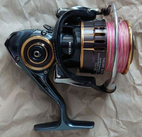 ダイワ(DAIWA) 17セオリー(THEORY) 3012H