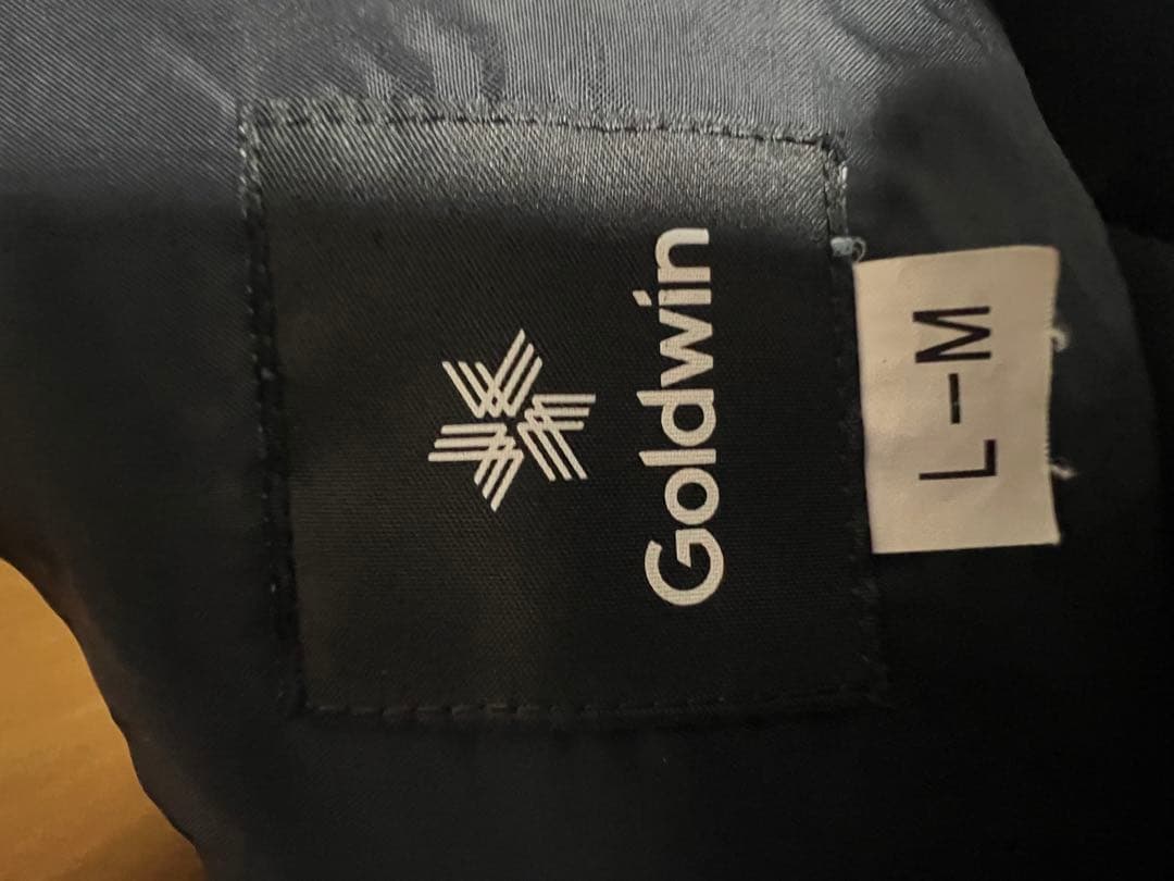 Goldwin スキーウェア 青白