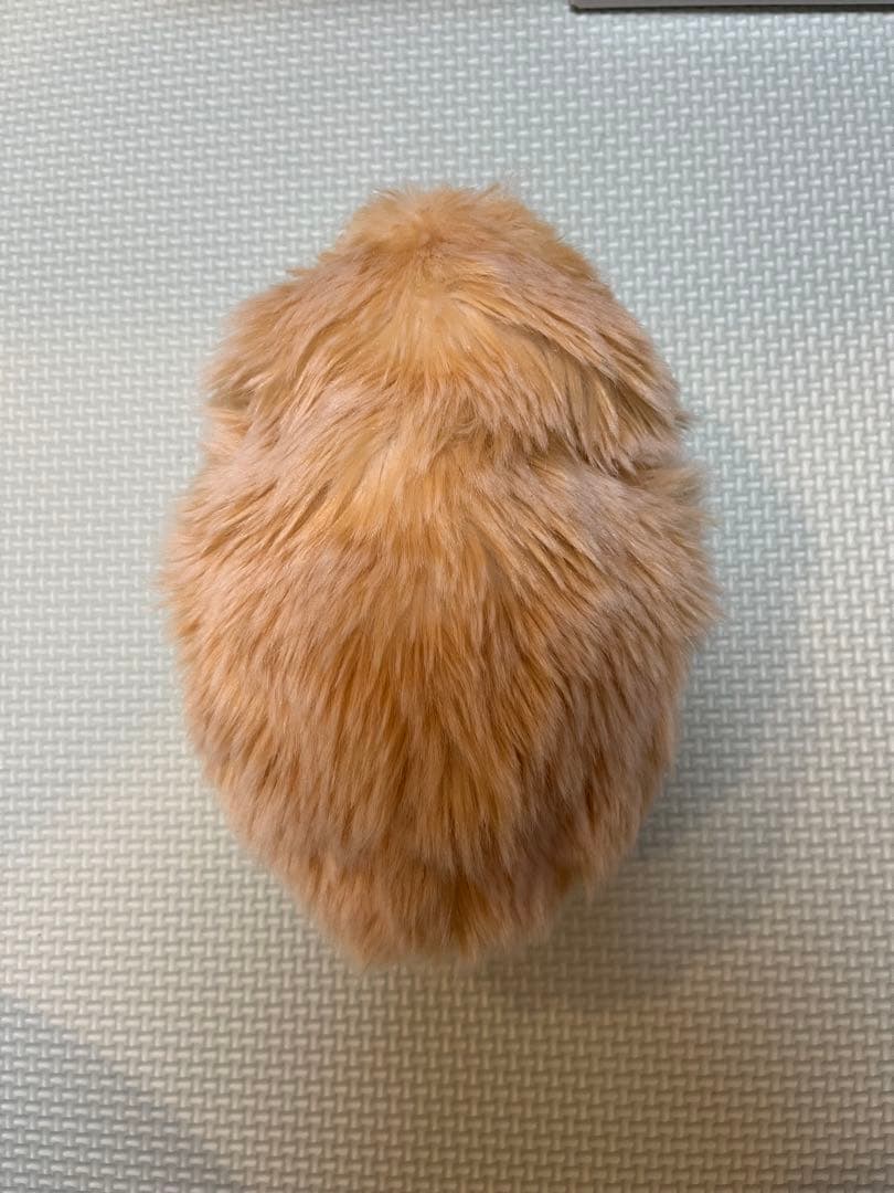 モフリン　ゴールド　CASIO