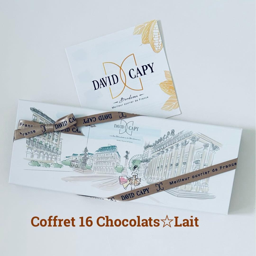 DAVID CAPY chibo♧出品です❣️