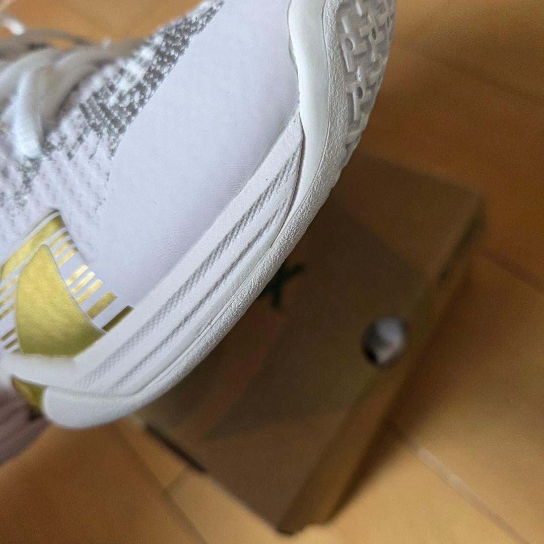 ヨネックス　YONEX エクリプションZ 22.0cm