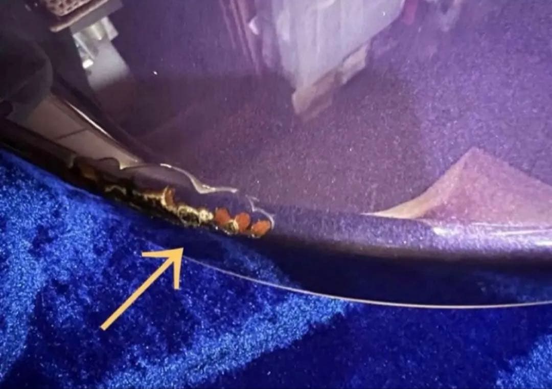 【FERNANDES】RAVELLE MGF