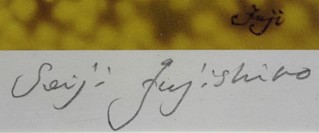 藤城清治 【朧月夜】 レフグラフ