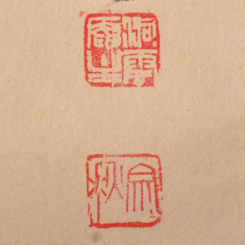 掛軸　紫野　森洞雲筆　一行書　「青山元不動」　共箱　C　6883A