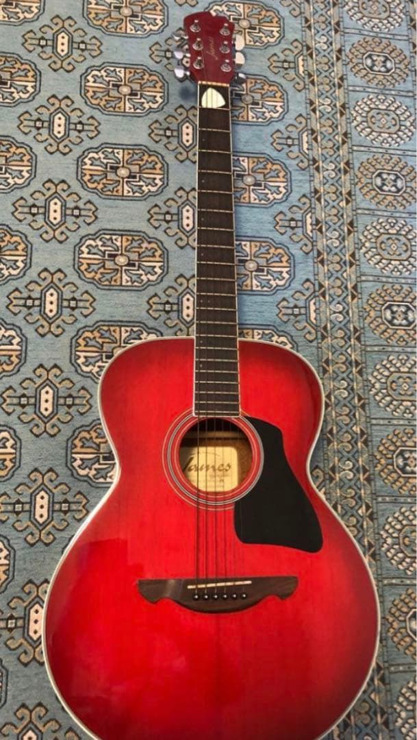 James 島村楽器 アコースティックギター