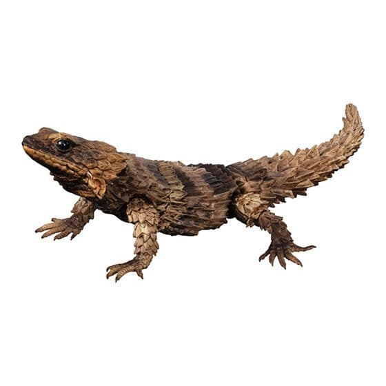 いきもの大図鑑アドバンス　アルマジロトカゲ　全４種フルコンプ　個包装　新品未開封