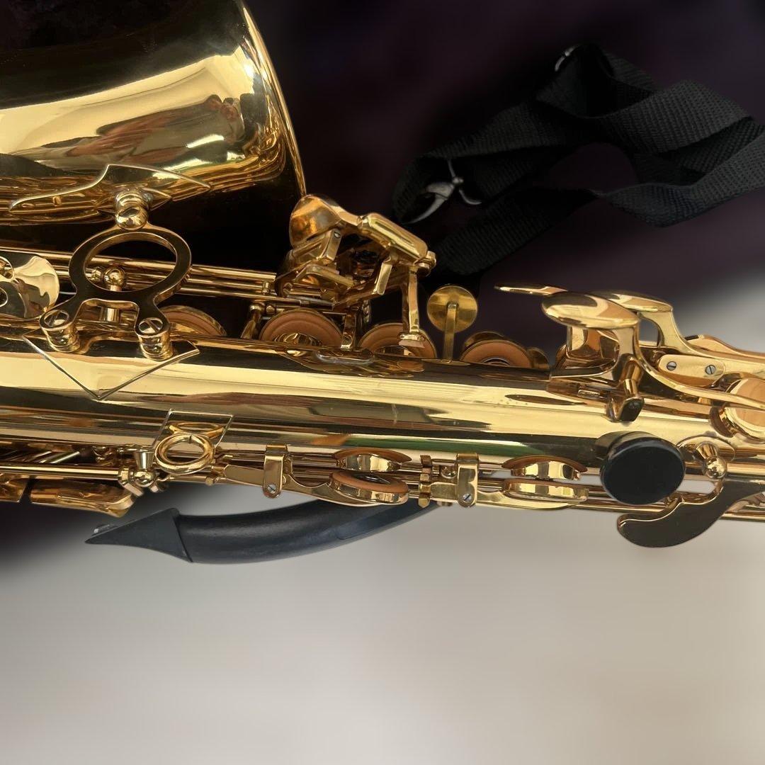 【初心者セット】SAVALEY アルトサックス ケース付き 付属品多数