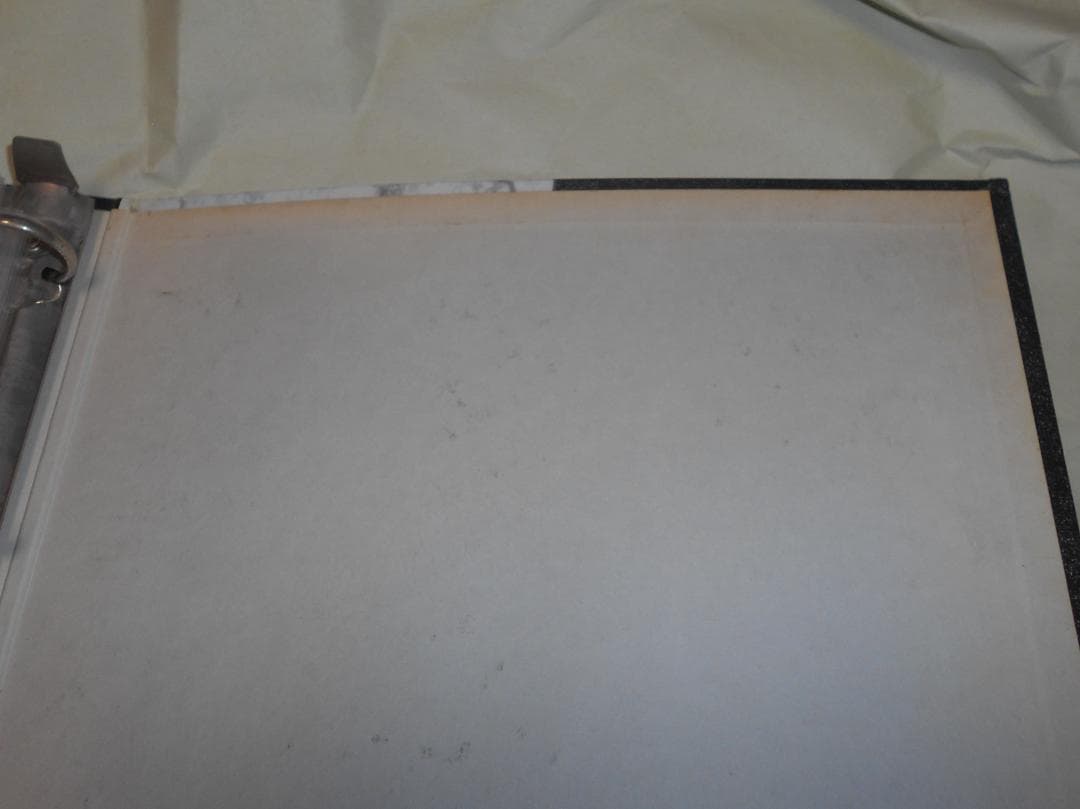 d*9様 エヴァ　トレカ　カード　まとめ　バインダー入り　ノーマルのみ　1集　版