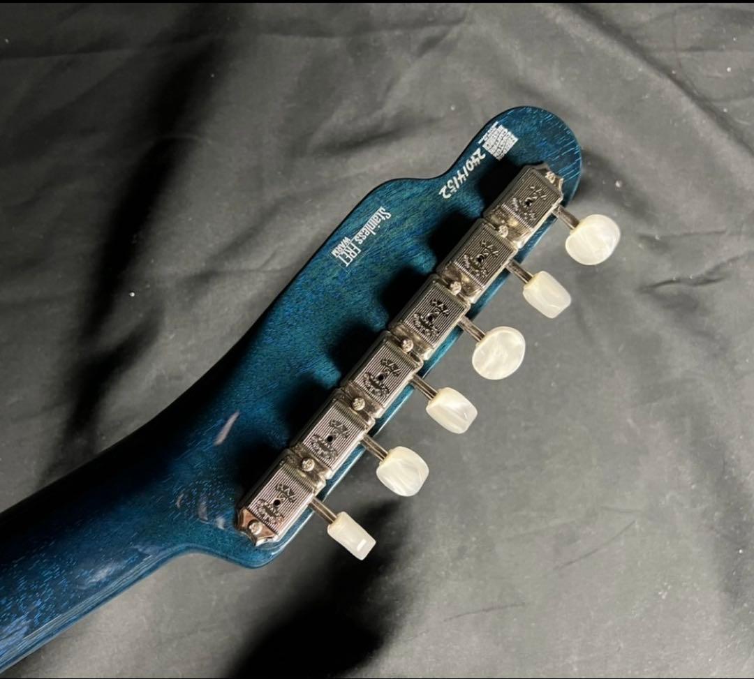 Freedom C.G.R テレキャスタータイプ/シンライン