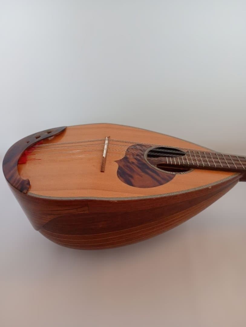 Calaceカラーチェ Mandolinマンドリン【No.24】