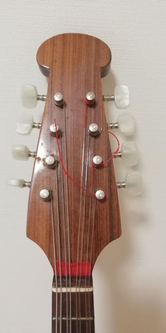 Calaceカラーチェ Mandolinマンドリン【No.24】