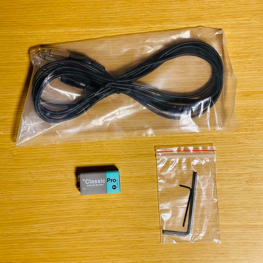 【廃盤品】FERNANDES PAINT-ZO hideコラボ ソフトケース付き