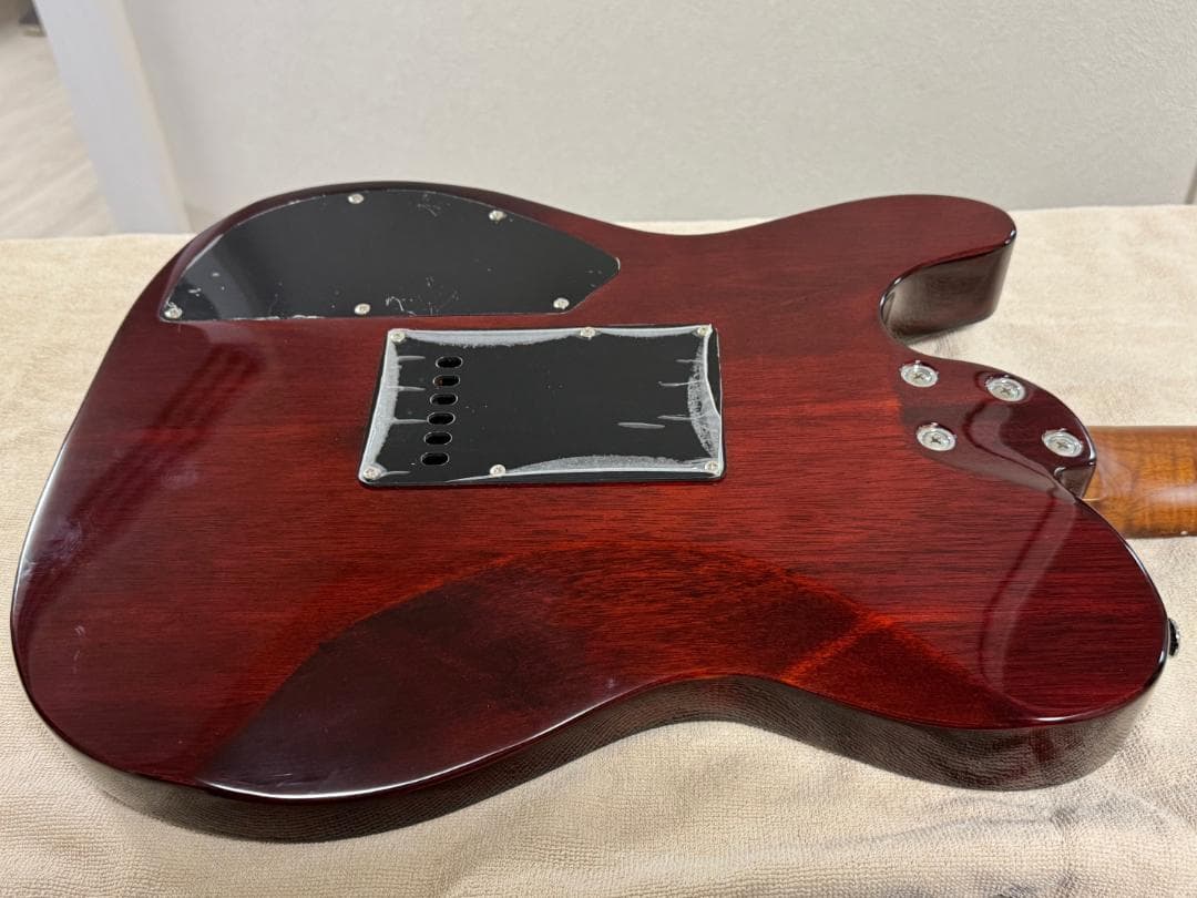 ギター Bacchus Global Series TACTICS24-FM-GK