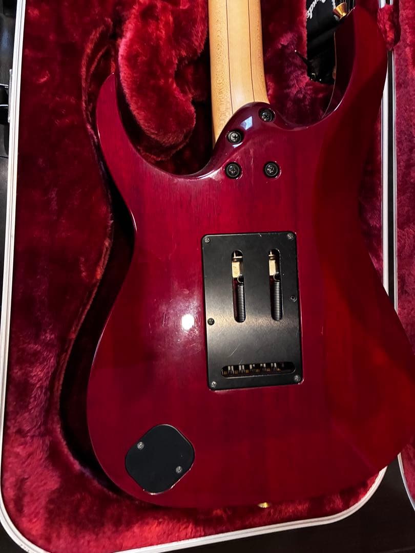 MRG7PY アイバニーズ