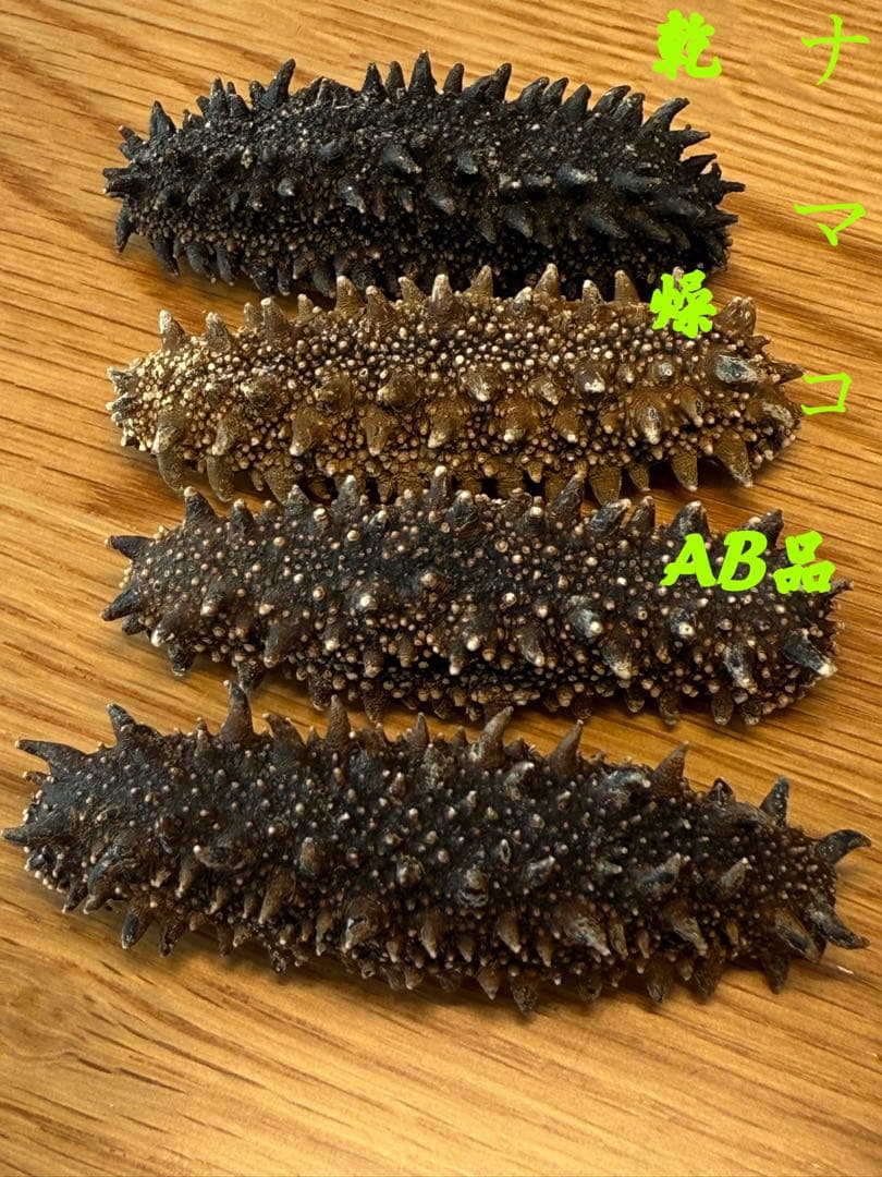 北海道産　乾燥海鼠ナマコ AB品 形の良いAB品 100g