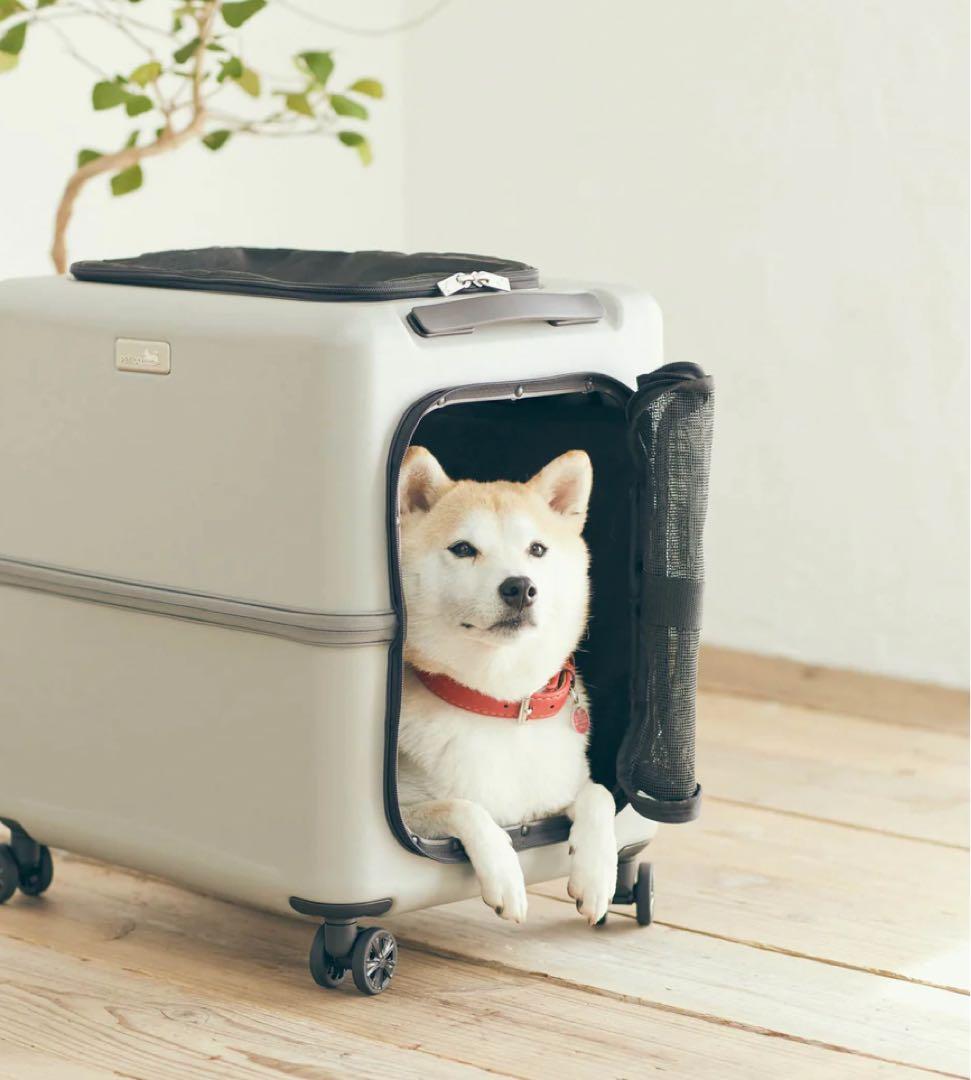 3001-L iCO / PETiCO ペチコ L-サイズ ペットキャリー