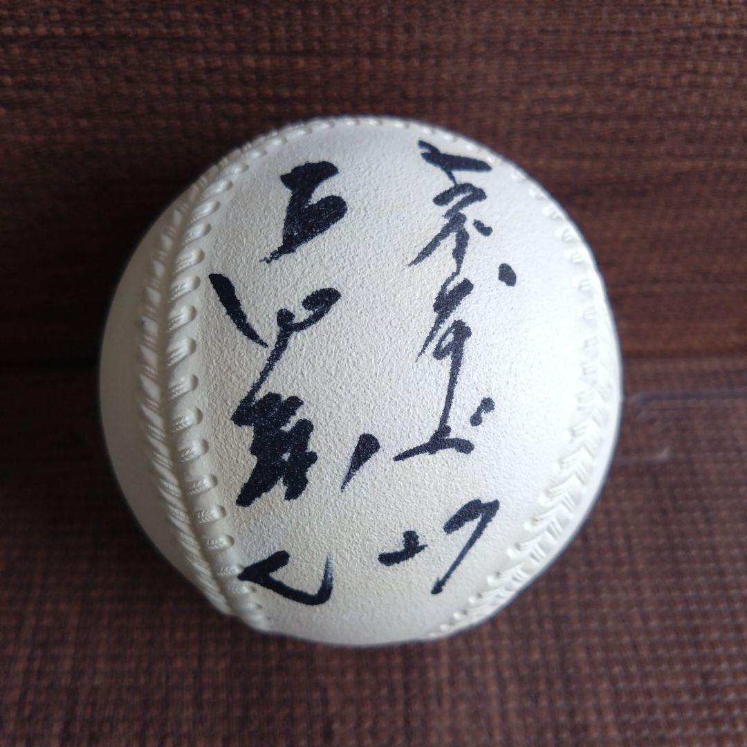 オールスターゲーム 1995 ヤクルト 古田敦也 サインボール プログラム