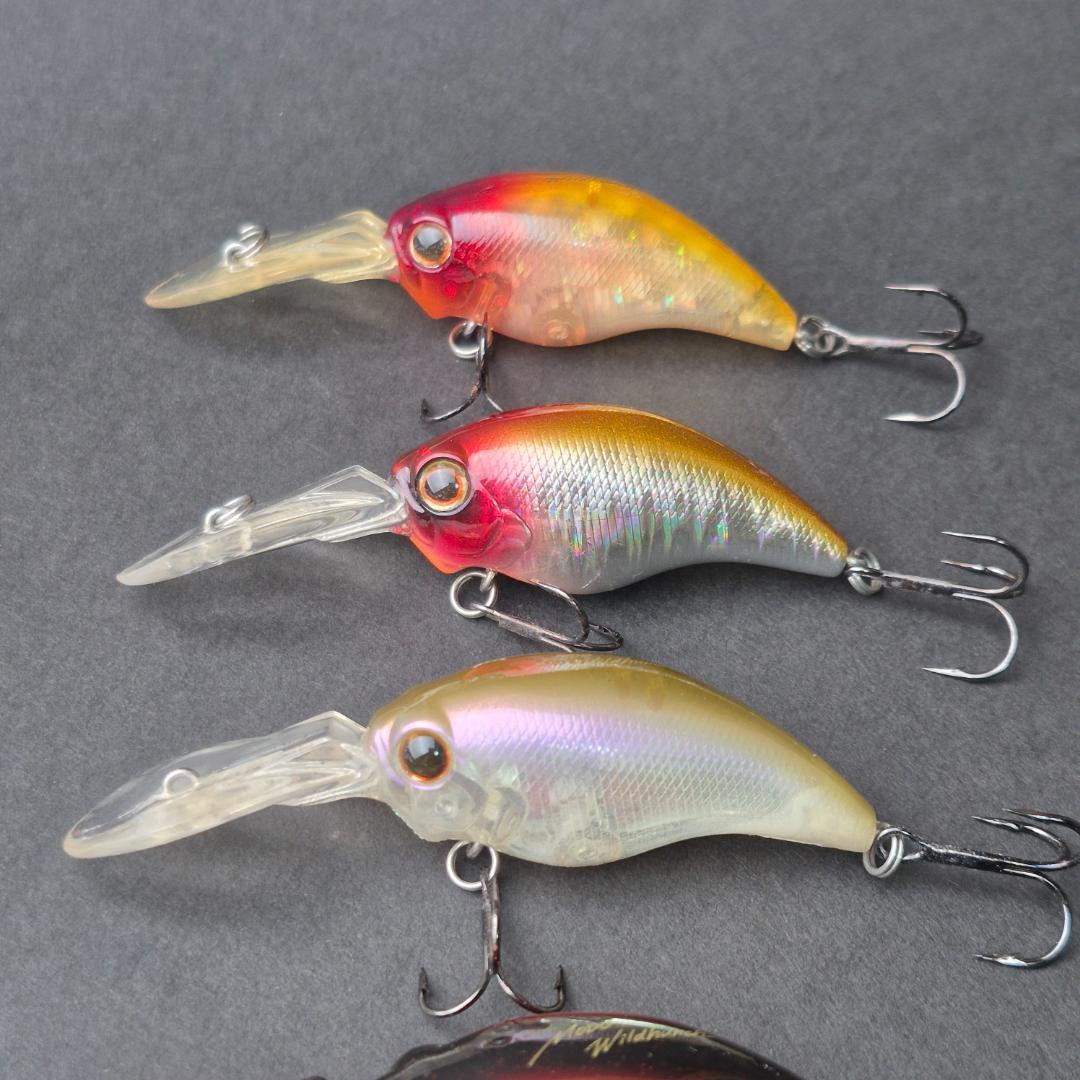 Evergreen MODO ワイルドハンチ 10個セット　a141-150