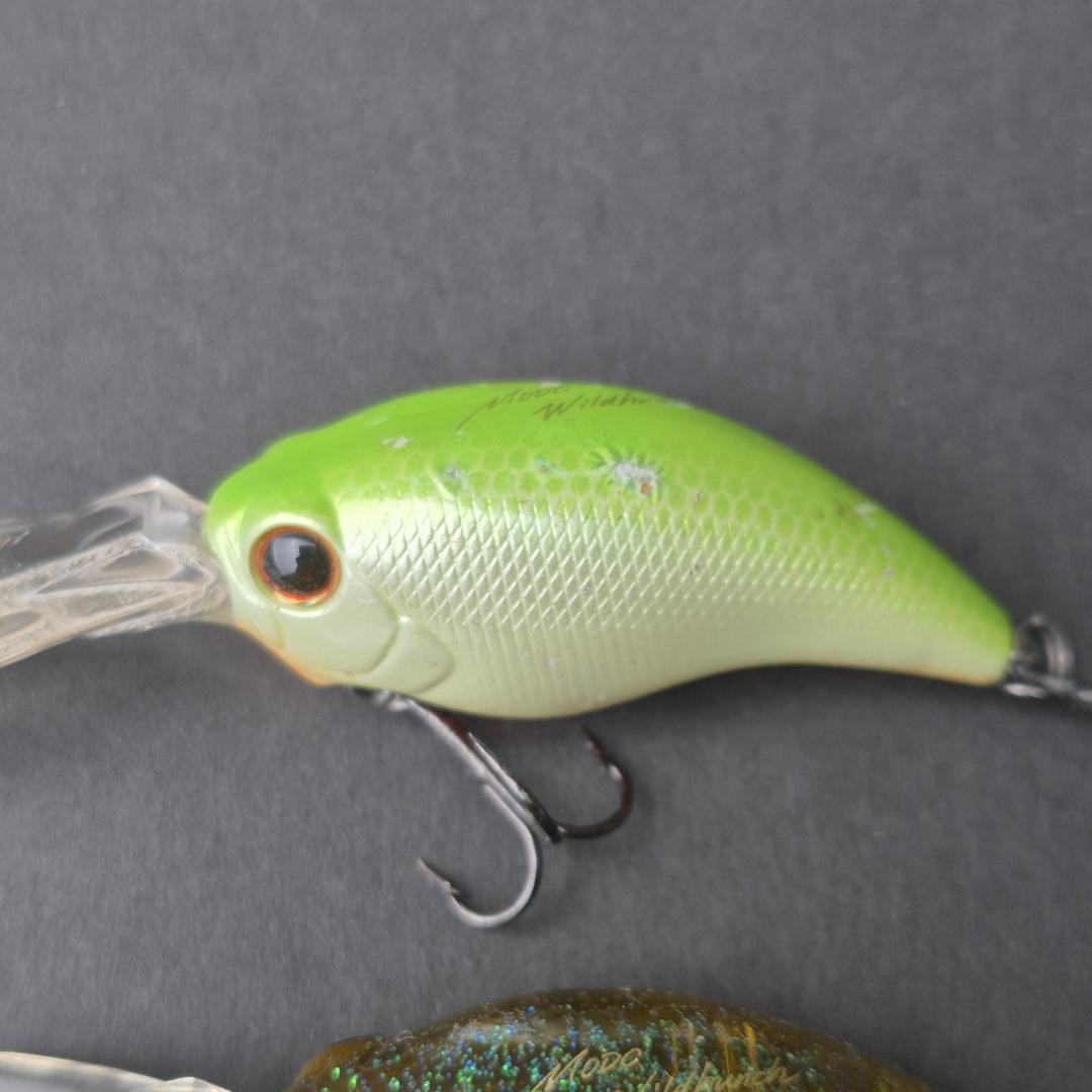 Evergreen MODO ワイルドハンチ 10個セット　a141-150